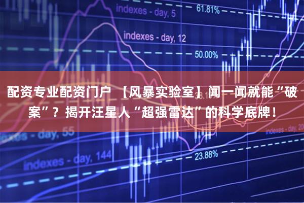 配资专业配资门户 【风暴实验室】闻一闻就能“破案”？揭开汪星人“超强雷达”的科学底牌！